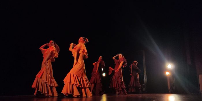TRES INTENSAS JORNADAS PARA CELEBRAR EL DÍA INTERNACIONAL DE LA DANZA 2026 SE VIVIERON CON EMOCIÓN EN EL LIQUEN CCM.
