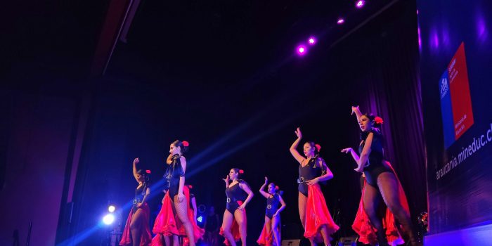 NUEVAMENTE LIQUEN FUE EL CENTRO DE LA ACTIVIDAD CULTURAL REGIONAL CON LA MUESTRA ANUAL DE EDUCACIÓN ARTÍSTICA